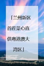 兰州新区首茬菜心直供粤港澳大湾区