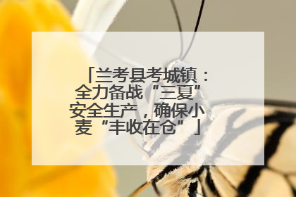 兰考县考城镇：全力备战“三夏”安全生产，确保小麦“丰收在仓”
