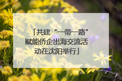 共建“一带一路”赋能侨企出海交流活动在沈阳举行