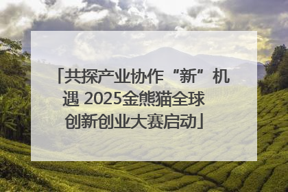 共探产业协作“新”机遇 2025金熊猫全球创新创业大赛启动