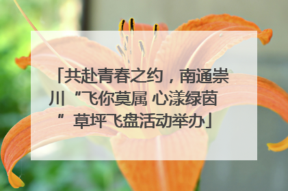 共赴青春之约，南通崇川“飞你莫属 心漾绿茵”草坪飞盘活动举办
