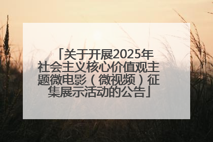 关于开展2025年社会主义核心价值观主题微电影（微视频）征集展示活动的公告