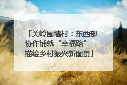 关岭围墙村：东西部协作铺就“幸福路” 描绘乡村振兴新图景