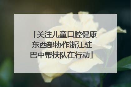 关注儿童口腔健康 东西部协作浙江驻巴中帮扶队在行动