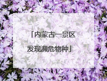 内蒙古一景区发现濒危物种