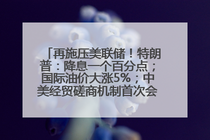 再施压美联储！特朗普：降息一个百分点；国际油价大涨5%；中美经贸磋商机制首次会议在英国伦敦举行；6499元起，华为发布新款手机丨每经早参