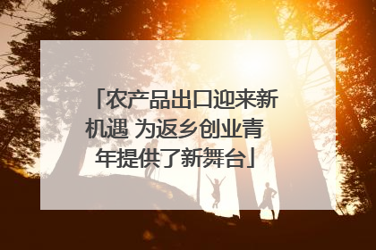 农产品出口迎来新机遇 为返乡创业青年提供了新舞台