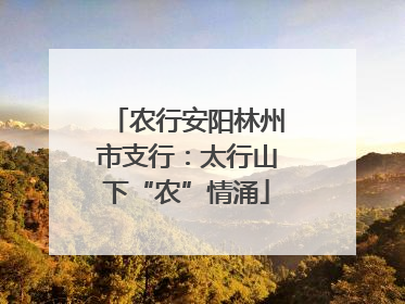 农行安阳林州市支行：太行山下“农”情涌