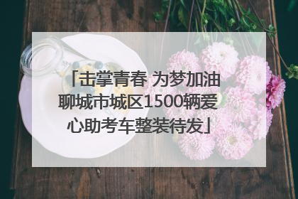 击掌青春 为梦加油 聊城市城区1500辆爱心助考车整装待发