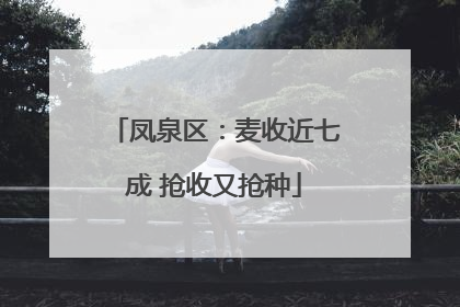 凤泉区：麦收近七成 抢收又抢种