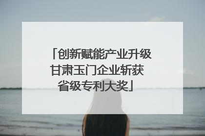 创新赋能产业升级 甘肃玉门企业斩获省级专利大奖