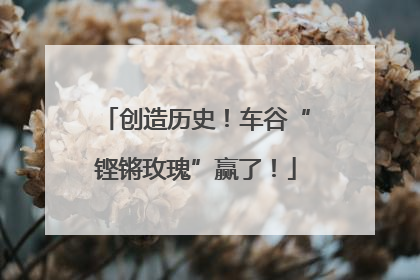 创造历史！车谷“铿锵玫瑰”赢了！