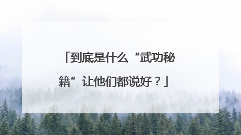 到底是什么“武功秘籍”让他们都说好？