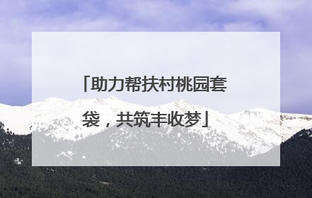 助力帮扶村桃园套袋，共筑丰收梦