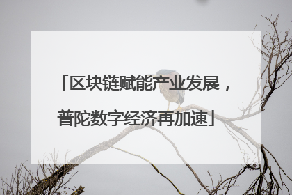 区块链赋能产业发展，普陀数字经济再加速