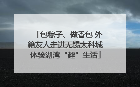 包粽子、做香包 外籍友人走进无锡太科城体验湖湾“趣”生活
