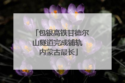 包银高铁甘德尔山隧道完成铺轨 内蒙古最长
