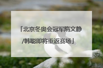 北京冬奥会冠军隋文静/韩聪即将重返赛场