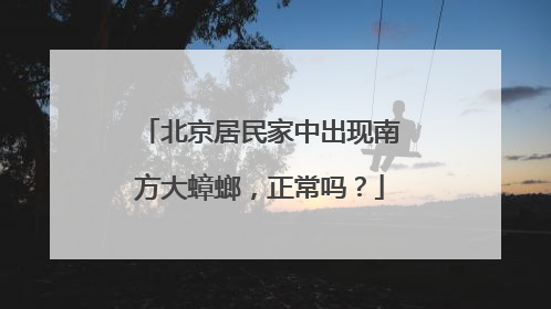 北京居民家中出现南方大蟑螂，正常吗？
