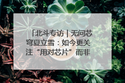 北斗专访｜无问芯穹夏立雪：如今更关注“用对芯片”而非“用贵芯片”