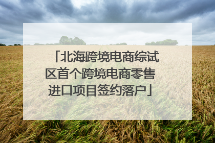 北海跨境电商综试区首个跨境电商零售进口项目签约落户