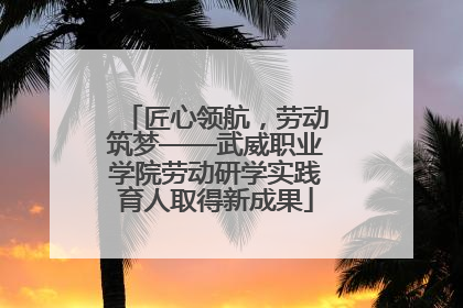 匠心领航，劳动筑梦——武威职业学院劳动研学实践育人取得新成果