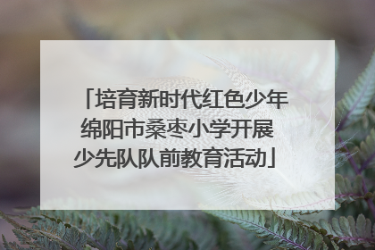 培育新时代红色少年 绵阳市桑枣小学开展少先队队前教育活动