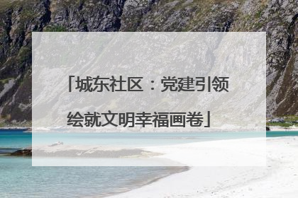 城东社区：党建引领绘就文明幸福画卷