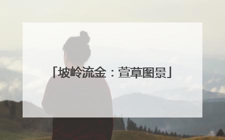 坡岭流金：萱草图景
