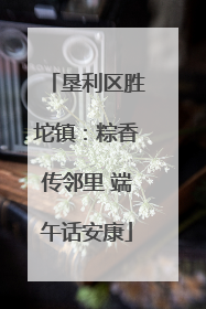 垦利区胜坨镇：粽香传邻里 端午话安康