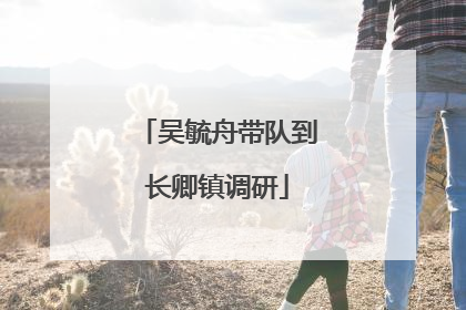 吴毓舟带队到长卿镇调研
