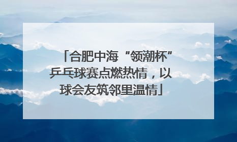 合肥中海“领潮杯”乒乓球赛点燃热情，以球会友筑邻里温情