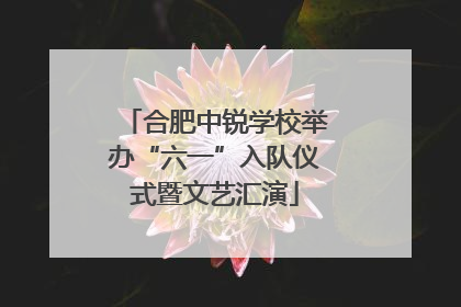 合肥中锐学校举办“六一”入队仪式暨文艺汇演