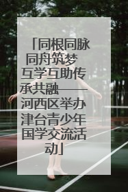 同根同脉同舟筑梦 互学互助传承共融——河西区举办津台青少年国学交流活动