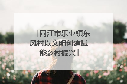 同江市乐业镇东风村以文明创建赋能乡村振兴