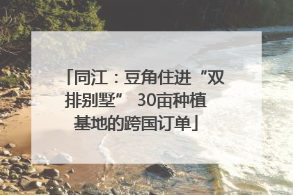 同江：豆角住进“双排别墅” 30亩种植基地的跨国订单