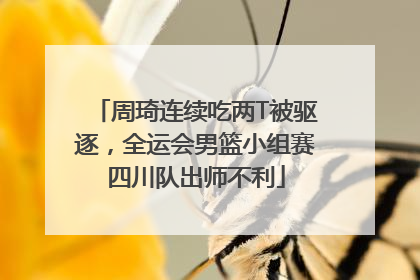 周琦连续吃两T被驱逐，全运会男篮小组赛四川队出师不利