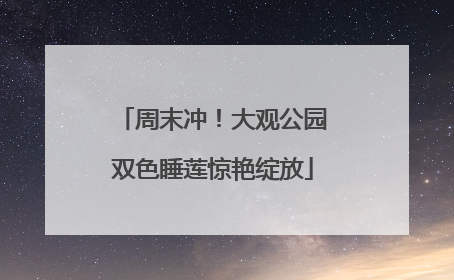 周末冲！大观公园双色睡莲惊艳绽放