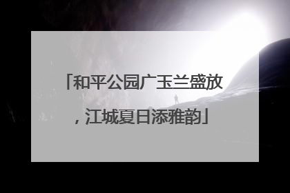 和平公园广玉兰盛放，江城夏日添雅韵