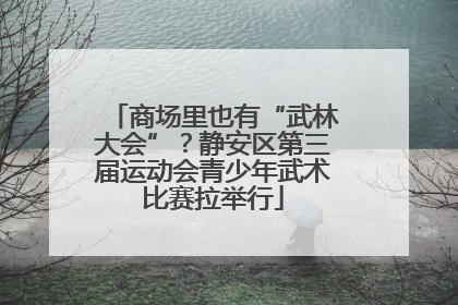 商场里也有“武林大会”？静安区第三届运动会青少年武术比赛拉举行