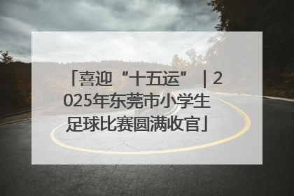 喜迎“十五运”｜2025年东莞市小学生足球比赛圆满收官