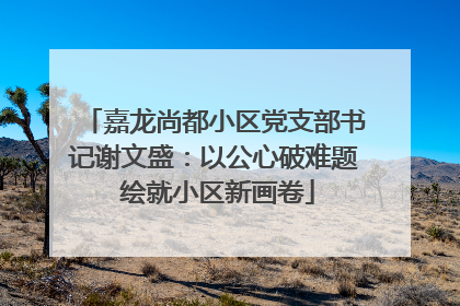 嘉龙尚都小区党支部书记谢文盛：以公心破难题 绘就小区新画卷