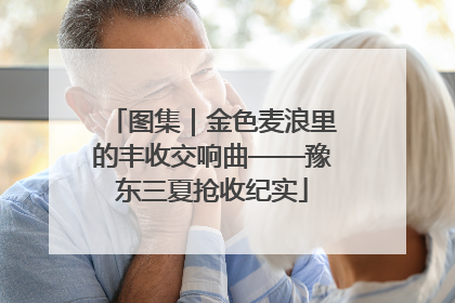 图集｜金色麦浪里的丰收交响曲——豫东三夏抢收纪实