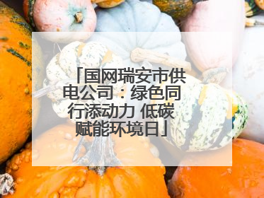 国网瑞安市供电公司：绿色同行添动力 低碳赋能环境日