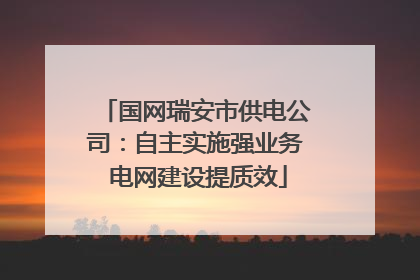 国网瑞安市供电公司：自主实施强业务 电网建设提质效