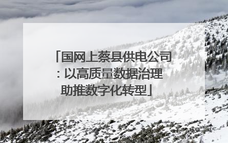 国网上蔡县供电公司：以高质量数据治理 助推数字化转型