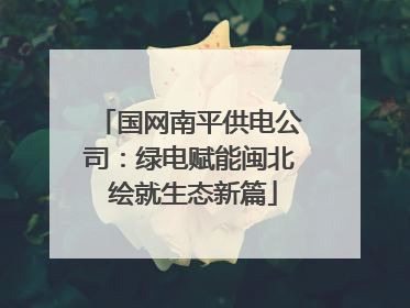 国网南平供电公司：绿电赋能闽北 绘就生态新篇