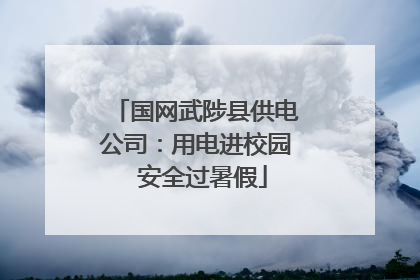 国网武陟县供电公司：用电进校园  安全过暑假