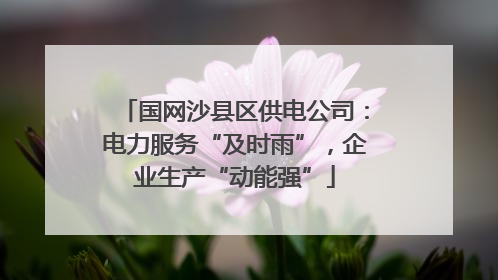 国网沙县区供电公司：电力服务“及时雨”，企业生产“动能强”