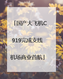 国产大飞机C919完成支线机场商业首航
